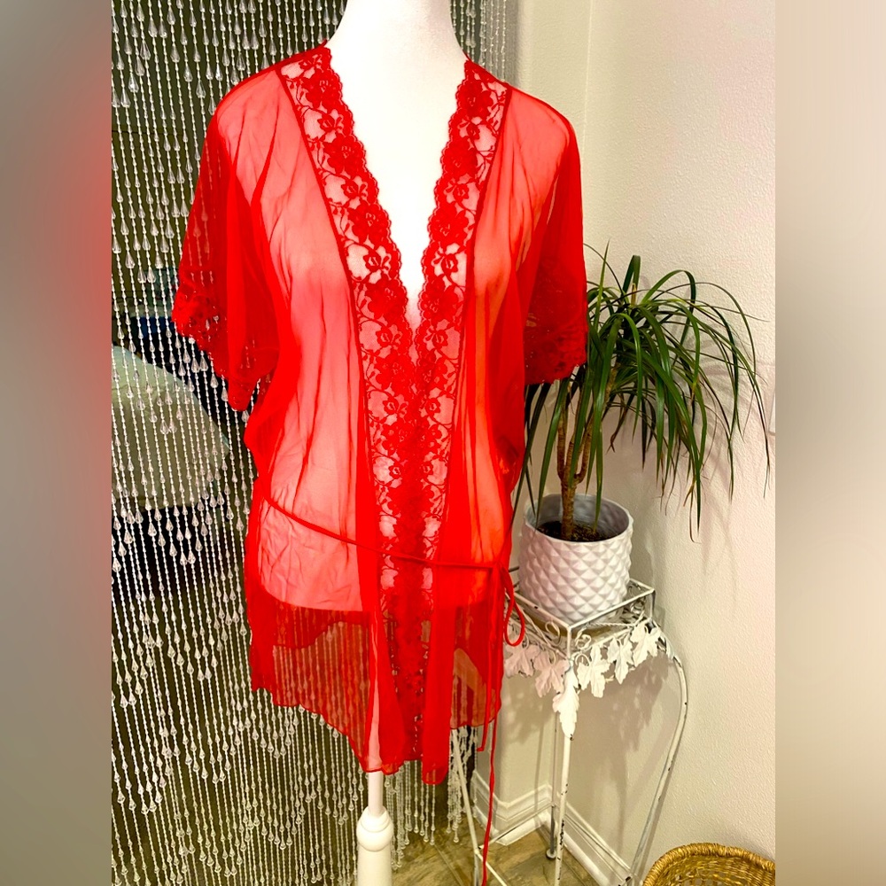 VINTAGE SHEER PEIGNOIR